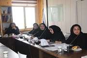 برگزاری سومین جلسه کارگاه تدوین طرح درس با موضوع ارزشیابی  دانشجو  در دانشکده پیراپزشکی عکس: الهام حق شناس